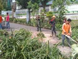 Babinsa Ngrambe Bersama Relawan Tebangi Pohon yang Membahayakan Pengguna Jalan