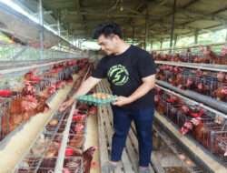 Kolaborasi Bisnis Telor Probiotik, IPEMI PD Surabaya dengan Koperasi Produsen Serambi Indonesia Madani