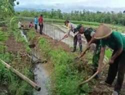 Wujudkan Sinergitas, Babinsa Kodim 0802/Ponorogo dan Bhabinkamtibmas Gotong Royong Bersihkan Saluran Irigasi Bersama Warga