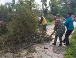 Membahayakan Pengguna Jalan, Babinsa Bantu Tebang Pohon