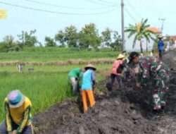 Kebersamaan Dalam Membangun Normalisasi Saluran lrigasi, Wujud Kepedulian Babinsa di Wilayah Binaan