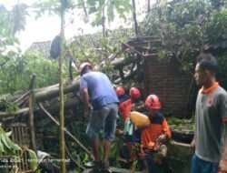 BPBD Evakuasi Rumah Warga Tertimpa Pohon Tumbang Akibat Hujan Deras Disertai Angin Kencang