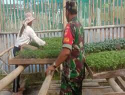 Sukseskan Ketahanan Pangan, Babinsa Komsos dengan Penjual Benih Sayur dan Tanaman