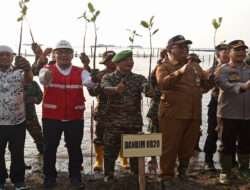 Lestarikan Hutan Mangrove, Kodim Probolinggo Tanam Bibit Mangrove