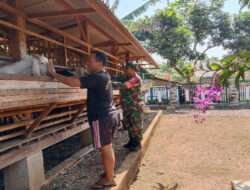 Babinsa Komsos Dengan Peternak Kambing
