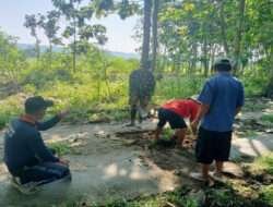 Babinsa bersama Warga Laksanakan Gotong Poyong Pengecoran Palan