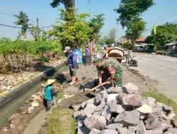 Pembangunan Talud Irigasi Tingkatkan Kualitas Panen Padi Petani Desa Srimulyo