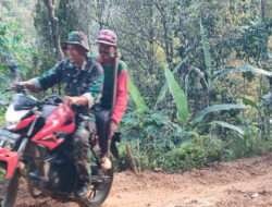 Berbagai Tantangan Tak Menyurutkan Personil Pra TMMD Ke-117 Kodim 0801/Pacitan Kerjakan Sasaran Fisik