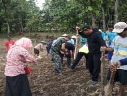 Babinsa Koramil 04/Padas Dampingi Petani Garap Lahan Pertanian