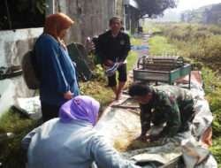 Tingkatkan Hasil Panen, Babinsa Kelurahan Banjarsari Bersama Dinas Pertanian Lakukan Giat Pengubinan
