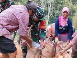Luar Biasa, Semangat Ibu-Ibu Dalam Kegiatan Pra TMMD Ke-117 Kodim 0801/Pacitan