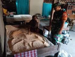 Babinsa Karangjati Berikan Pendampingan dan Motivasi UMKM Pembuatan Tempe di Wilayah Binaan