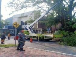 Antisipasi Pohon Tumbang, Babinsa Sondakan Dampingi Perampingan Pohon di Wilayah Binaan