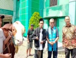 Muhammadiyah dan Nahdlatul Ulama Jatim Terima Bantuan Sapi Qurban Seberat 1,2 Ton