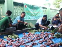 Kurangi Sampah Plastik, Kodim Ngawi Bagikan Daging Kurban Dengan Bungkus Daun Jati