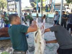 Wujud Rasa Syukur Hari Raya Idhul Adha, Kodim Boyolali Sembelih Hewan Kurban
