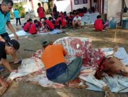 SMP Negeri 1 Laren, Istiqomah Melaksanakan Penyembelihan Hewan Kurban Setiap Idul Adha
