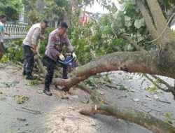 Polisi Cepat Tanggap, Akses Jalan di Kandat Kediri Kembali Normal