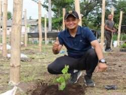 Kembalikan Ikon Probolinggo, Dandim Tanam Bibit Anggur