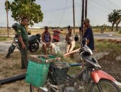 Komsos Dengan Petani, Babinsa Imbau Tingkatkan Produksi Serta Kualitas Padi