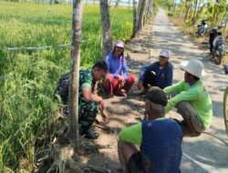 Babinsa Koramil 12 Bendosari aktif Komsos Sambangi Petani di Desa Mertan