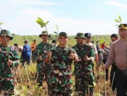 Peduli Lingkungan, Dandim Tanam Mangrove Dan Pungut Sampah