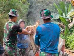 Demi Kelancaran TMMD Ke-117 Kodim 0801/Pacitan, Personil Satgas Dibagi Beberapa Kelompok