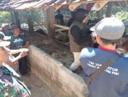 Kegiatan Non Fisik TMMD Ke-117 Kodim 0801/Pacitan, Berikan Vaksinasi Pada Hewan Ternak Warga