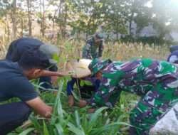 Lestarikan Lingkungan, Kodim Ngawi Gelar Pembinaan Lingkungan Hidup