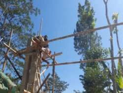 Utamakan Kualitas Pembangunan Gapura, Dalam Kegiatan TMMD Ke-117 Kodim 0801/Pacitan.