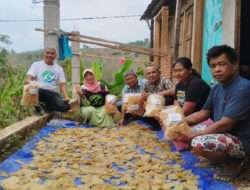 Pemanfaatan Hasil Tani Singkong Blogong Melimpah, Jadi Sarmiler Sehat