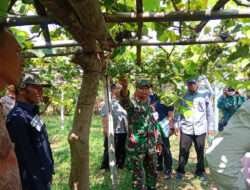 Koramil Wonoasih Dampingi Penilaian Lomba Kampung Tematik