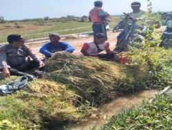 Polisi RW Patroli Dialogis dengan Petani Jaga Ketahanan Pangan di Ngawi