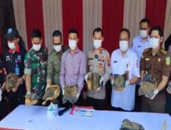 Polres Jember Bersama Forkopimda Musnahkan BB 10 Kg Ganja Hasil Ungkap Jaringan Antar Propinsi