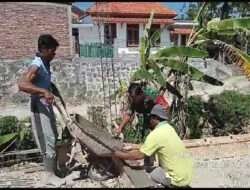 Kebersamaan Dan Keakraban Babinsa Karanganyar Bersama Masyarakat Gotong-Royong Bangun Talud