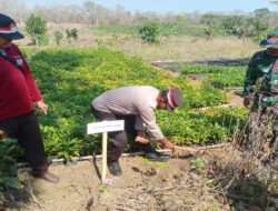 Peringati HUT RI Ke 78, Polsek Solokuro Tanam Pohon Penghijauan