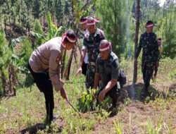 HUT RI Ke 78, Koramil Sumber Lakukan Penghijauan