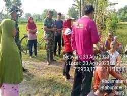 Babinsa Paron Bersama PPL Sosialisasikan Pembuatan Pupuk Hayati Kepada Petani Padi