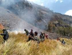 Lereng Bukit Tengger Terbakar, TNI Turun Tangan