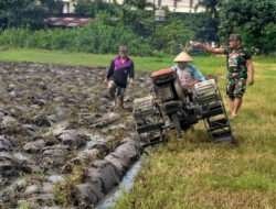 Dukung Ketahanan Pangan di Wilayah Babinsa Galang Petani Dalam Mengelola Lahan