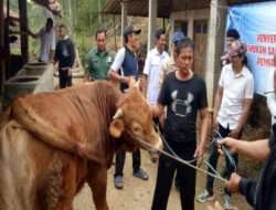 Program Ketahanan Pangan, Babinsa Koramil 0801/05 Nawangan Dampingi Penyerahan Hewan Ternak