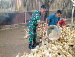 Motivasi Pelaku Usaha, Koramil Maron Gelar Komsos