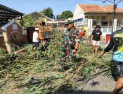 Babinsa Pajang Bersama Warga Bahu-membahu Bersihkan Rumpun Bambu