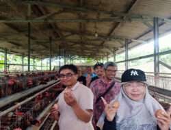 Telor Ayam Sehat Probiotik Alakazam Mutiara Unggas Konang