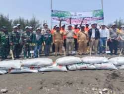 Hijaukan Daerah Pesisir, Koramil Paiton Tanam Mangrove