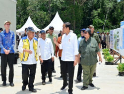 Ini Komitmen Kita pada Lingkungan, Presiden Jokowi Tinjau Persemaian Mentawir