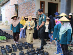 Langkah Bersama: Dandim Trenggalek dan Wakil Bupati Dukung Gerakan Tanam Cepat Panen di Desa Pandean