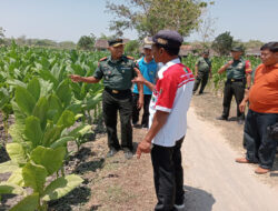 Beri Motifasi, Dandim Ngawi Sambangi Petani Tembakau di Wilayah Karangjati