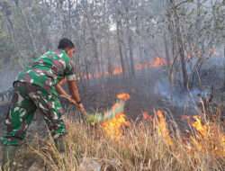 Kisah Heroik: Babinsa Ngepeh Sertu Mugianto Selamatkan Lingkungan dari Kebakaran Hutan