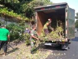 Antisipasi Pohon Tumbang, Babinsa Kelurahan Kerten Bersama Warga Gotong-Royong Pangkas Ranting dan Pohon